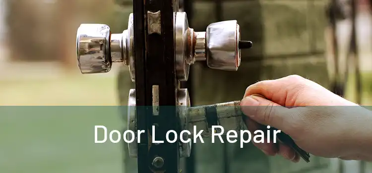 Door Lock Repair